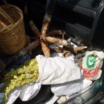 Jeep túra