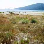 Golden Beach