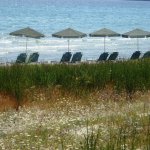 Golden Beach