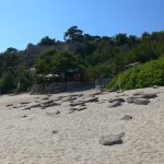 Metalia Beach