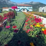 Dias - Zeus Apartman és Stúdió *****
