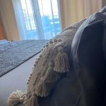 N2 Apartman