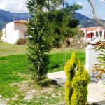 nontas_07