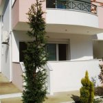 nontas_13