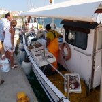 Kefalonia 2013