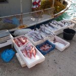 Kefalonia 2013