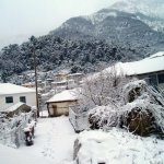 Tél - 2008.02.16.
