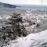 Tél - 2008.02.16.