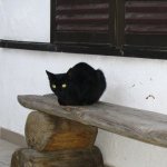 Panagia