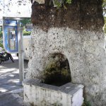Panagia