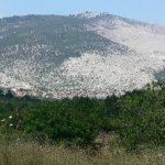 Theologo