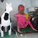 Farsang 2008